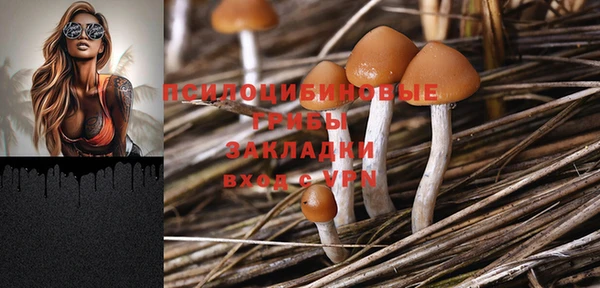 ПСИЛОЦИБИНОВЫЕ ГРИБЫ Белоозёрский