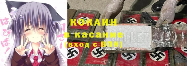 ПСИЛОЦИБИНОВЫЕ ГРИБЫ Белоозёрский